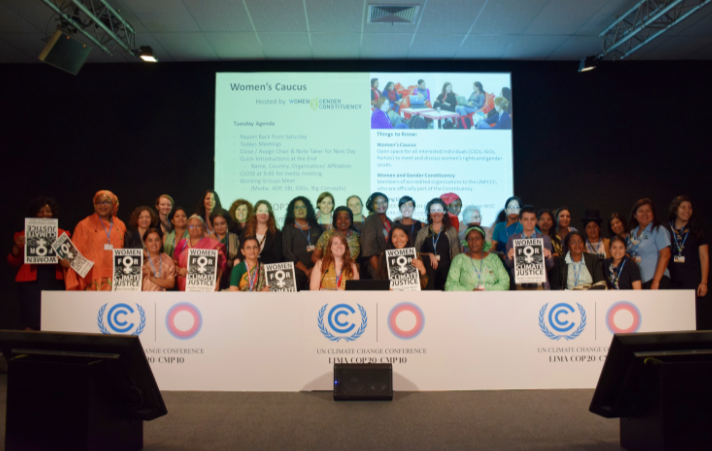 Le groupe Femmes et genre lors de la COP 20